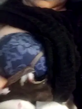 Snapshot of oxavector chatting on February 2026 08:08:02 AM oxavector online show from February 2026 08:08:02 AM