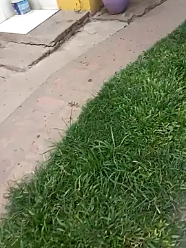 Snapshot of gordorichard chatting on February 2026 04:46:02 PM gordorichard online show from February 2026 04:46:02 PM