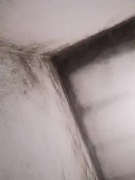 Snapshot of Lamich chatting on February 2026 09:33:01 PM Lamich online show from February 2026 09:33:01 PM