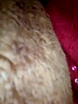 Snapshot of Talkwithsex chatting on April 2026 07:53:01 AM Talkwithsex online show from April 2026 07:53:01 AM