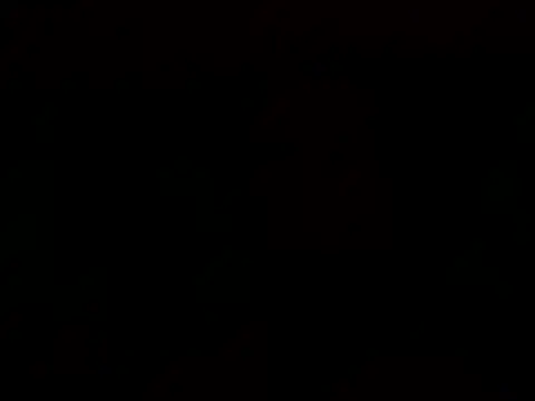 Tommyzzzzzz online show from December 2024 02:17:01 AM