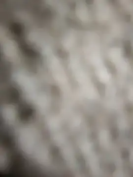 Flexxxo09 online show from February 2026 02:01:02 PM