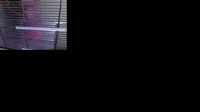 sophi and coby online show from May 2026 05:12:01 AM