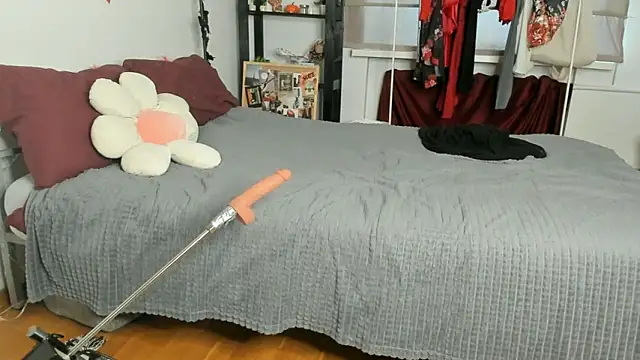 CalmFever online show from February 2026 01:18:02 PM