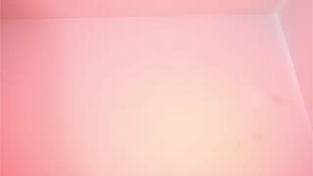 Eva-savage online show from March 2026 06:33:01 PM