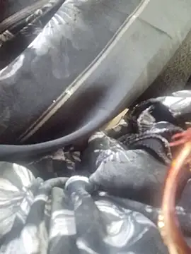 SexybeboX online show from March 2026 05:44:01 AM