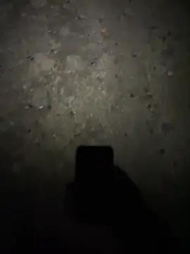 stallone italiano 62 online show from February 2026 11:22:01 PM