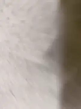 Snapshot of chennai_sexyboy chatting on February 2026 04:32:01 PM chennai sexyboy online show from February 2026 04:32:01 PM