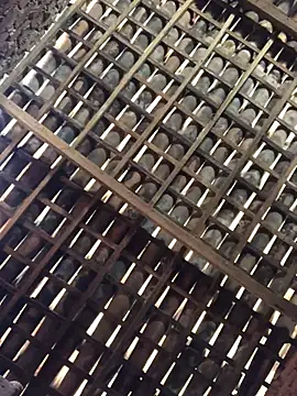 novinhavip777 online show from February 2026 02:10:01 PM