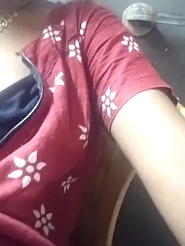 Snapshot of telugusailaja chatting on March 2026 02:04:01 AM telugusailaja online show from March 2026 02:04:01 AM