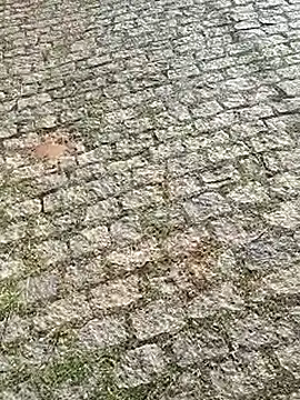 DiamanteNegro90 online show from April 2026 11:43:01 AM