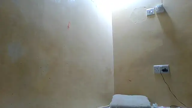 Cozybear online show from July 2026 06:31:02 AM