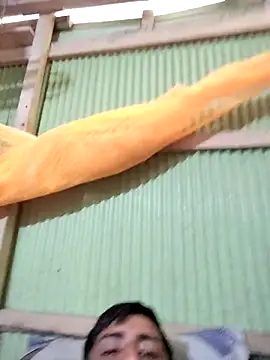 lermaalburu online show from March 2026 05:33:01 AM