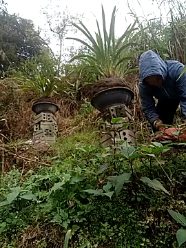 nelina 12345 online show from February 2026 09:08:02 AM