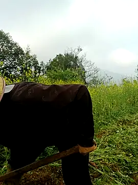 nelina 12345 online show from March 2026 01:44:01 AM