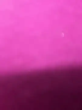 Anya Volker online show from April 2026 12:25:01 PM