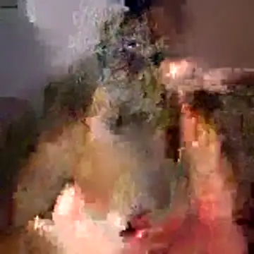 tubellaflor online show from March 2026 10:23:01 PM