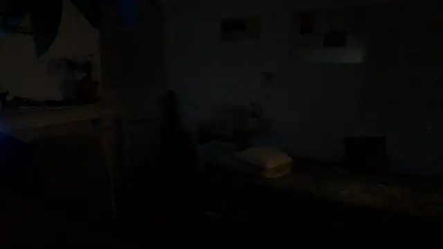 irohsako online show from June 2026 03:44:01 AM