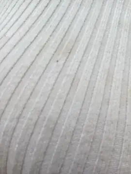 Snapshot of chaoanh11 chatting on February 2026 09:08:02 AM chaoanh11 online show from February 2026 09:08:02 AM