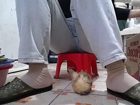 Snapshot of Maila88 chatting on February 2026 11:55:01 PM Maila88 online show from February 2026 11:55:01 PM