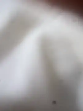 Snapshot of Jaybraconect chatting on February 2026 05:08:02 AM Jaybraconect online show from February 2026 05:08:02 AM