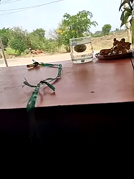 Snapshot of Chandu1245 chatting on April 2026 08:07:02 AM Chandu1245 online show from April 2026 08:07:02 AM