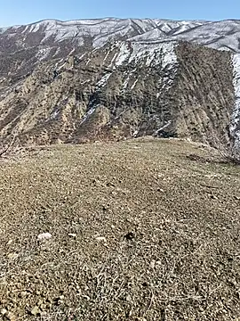 TurkeyMen online show from March 2026 10:10:02 AM