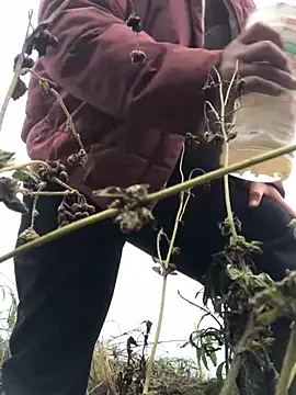 Snapshot of Nth5h chatting on March 2026 04:18:01 AM Nth5h online show from March 2026 04:18:01 AM