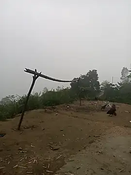 Snapshot of Nth5h chatting on March 2026 10:55:01 PM Nth5h online show from March 2026 10:55:01 PM