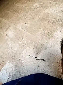 negopreto  online show from February 2026 07:34:02 PM