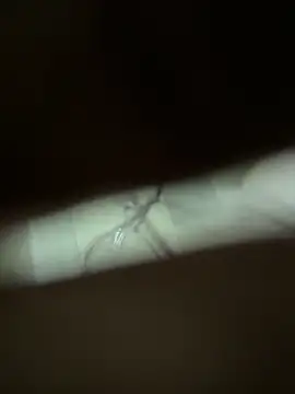 Snapshot of neekosam12 chatting on March 2026 05:06:01 PM neekosam12 online show from March 2026 05:06:01 PM