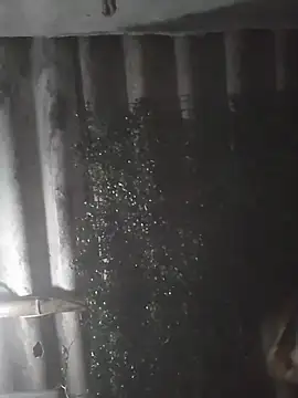 mar coral2 online show from March 2026 04:01:02 AM