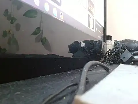 powderblu69 online show from May 2026 06:57:02 PM