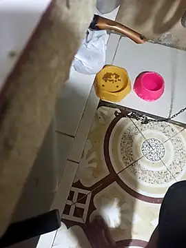 Snapshot of EasternLube chatting on February 2026 08:29:01 PM EasternLube online show from February 2026 08:29:01 PM