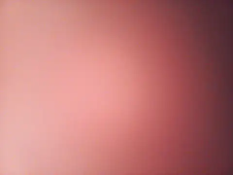 DannyLeei online show from May 2026 12:45:01 PM