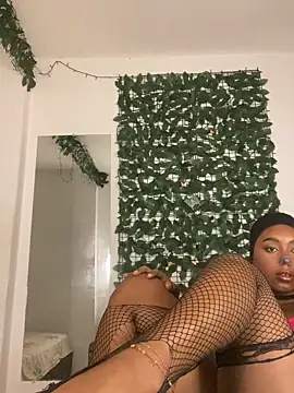 Jazmin chell online show from April 2026 02:17:02 PM