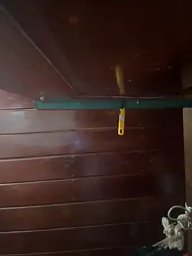 Slvbot202 online show from February 2026 10:07:01 PM