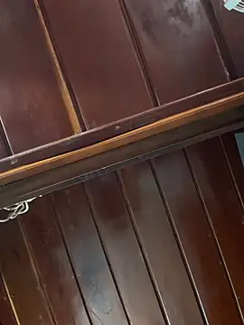 Slvbot202 online show from February 2026 12:48:02 PM