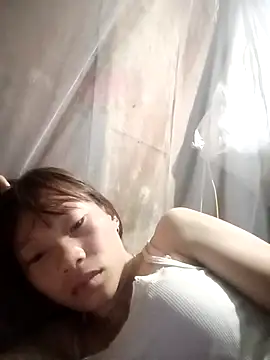 pic8800 online show from March 2026 07:14:01 PM