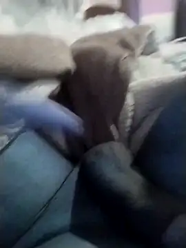 casal spzl online show from March 2026 04:12:02 PM