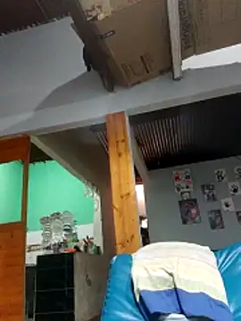 stivengaviria online show from February 2026 11:31:02 AM