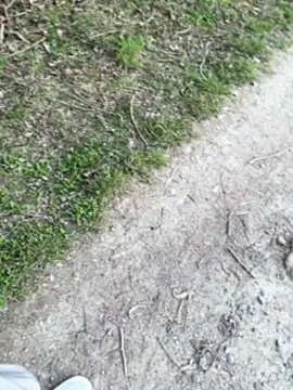 Snapshot of aras__25 chatting on March 2026 02:43:01 PM aras 25 online show from March 2026 02:43:01 PM