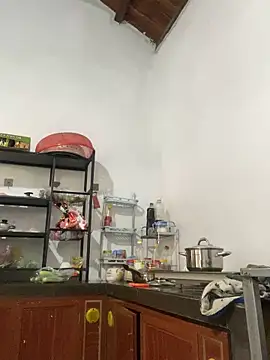 Ivy Trix2 online show from March 2026 03:24:01 AM