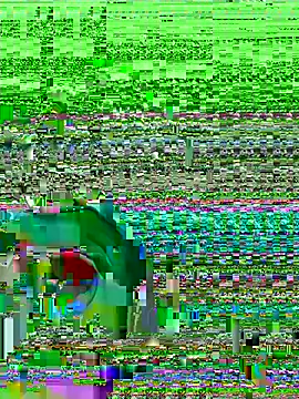 midsize 94 online show from February 2026 03:38:02 AM