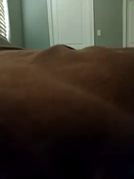 lilbbcxoxo online show from February 2026 04:18:01 PM