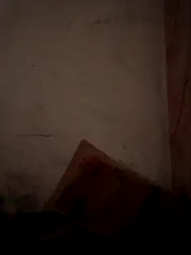 CoralN online show from April 2026 03:51:01 AM