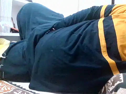 Snapshot of Huskyboss chatting on March 2026 04:11:02 PM Huskyboss online show from March 2026 04:11:02 PM