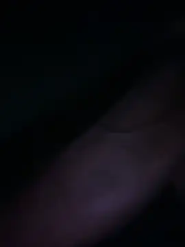 SteepedSpoiler online show from February 2026 07:59:02 PM