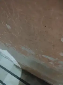 Tamillaxmi12 online show from April 2026 03:40:02 PM