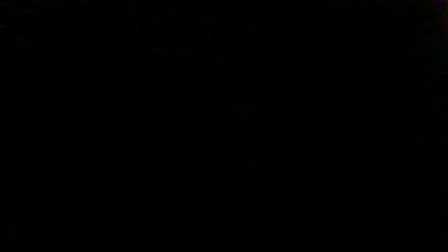 Snapshot of Beaededpainter chatting on July 2026 11:04:02 AM Beaededpainter online show from July 2026 11:04:02 AM